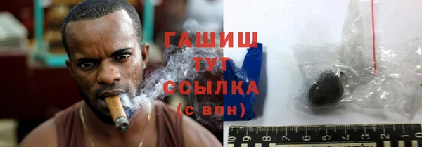 индика Чегем