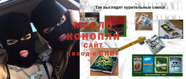 индика Шадринск